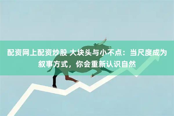 配资网上配资炒股 大块头与小不点：当尺度成为叙事方式，你会重新认识自然