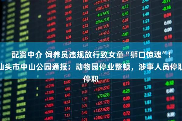 配资中介 饲养员违规放行致女童“狮口惊魂”!汕头市中山公园通报：动物园停业整顿，涉事人员停职