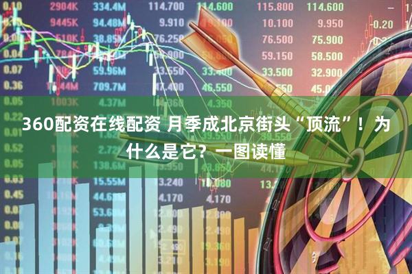 360配资在线配资 月季成北京街头“顶流”！为什么是它？一图读懂